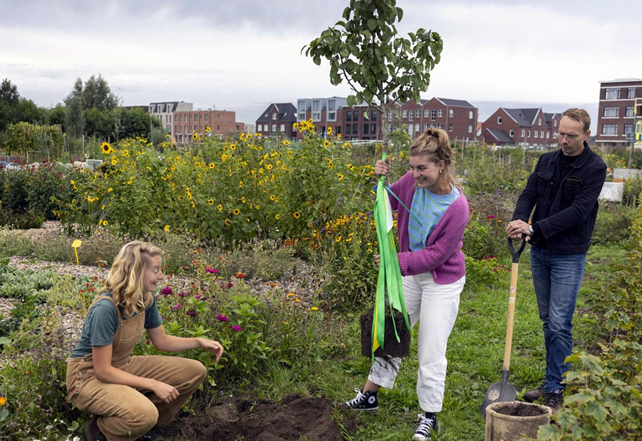 Onze tuinder Nienke draagt bij aan Plan Boom – een initiatief dat miljoenen bomen plantte in Nederland. Zo werken we samen aan een groener, gezonder landschap.