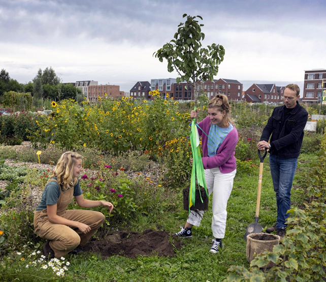 Onze tuinder Nienke draagt bij aan Plan Boom – een initiatief dat miljoenen bomen plantte in Nederland. Zo werken we samen aan een groener, gezonder landschap.