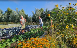 Bijeenkomst gastouderbureau met zaalhuur, catering van het Theehuis, een tuinworkshop in de Tuinderij. Inspirerend samenzijn bij Land in Zicht in Amersfoort.