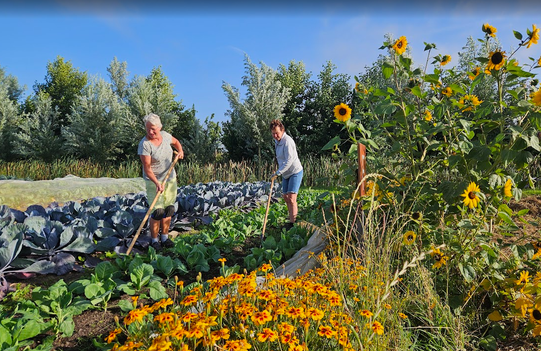 Tuinworkshop Tuinderij Amersfoort Vathorst Bijeenkomst gastouderbureau met zaalhuur, catering van het Theehuis, een tuinworkshop in de Tuinderij. Inspirerend samenzijn bij Land in Zicht in Amersfoort.