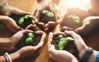 Waar gaat het jou werkelijk om en waarvoor ben je hier op aarde? Leef je wel echt, of word je geleefd door de waan van de dag? En blijf je hangen in patronen en overtuigingen… Deze vragen kunnen spelen in je team, in jou persoonlijk en in jouw (potentiële) onderneming. Vraag een coaching aan bij Land in Zicht Amersfoort Vathorst.