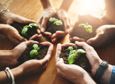 Teamcoaching en persoonlijke coaching