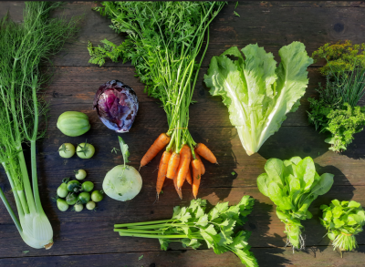 Binnenkort start de verkoop van de oogstdelen 2026 bij de Tuinderij van Land in Zicht. Doe mee aan onze Tuinderij met een solidair betalingssysteem en oogst een seizoen lang lokale, onbespoten groenten.