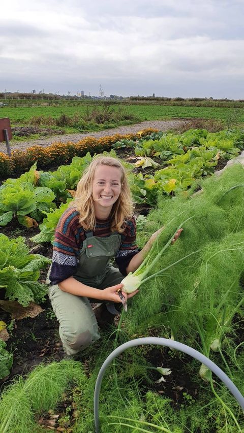 Ben jij graag buiten, werk je het liefst met je handen in de aarde en krijg je energie van een levendige plek waar mens en natuur samenkomen? Voor onze Tuinderij van Land in Zicht in Amersfoort Vathorst zijn wij op zoek naar een tijdelijke tuinder voor het komende teeltseizoen.