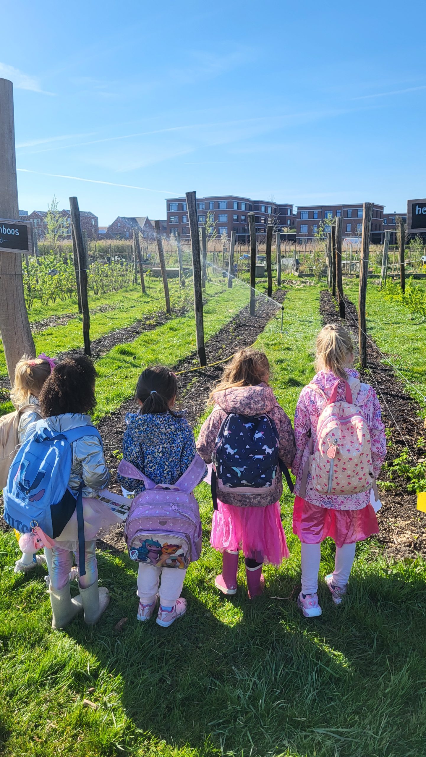Schoolbezoek rondleiding Land in Zicht Rondleiding Tuinderij (februari t/m november) Rondleiding door de tuinderij. Kijken bij de verschillende onderdelen (groente-, kleinfruit-, bloemen, kruiden en kasteelt). Onderweg wordt er verteld over de principes van duurzame tuinbouw en het CSA-principe (community supported agri-culture).