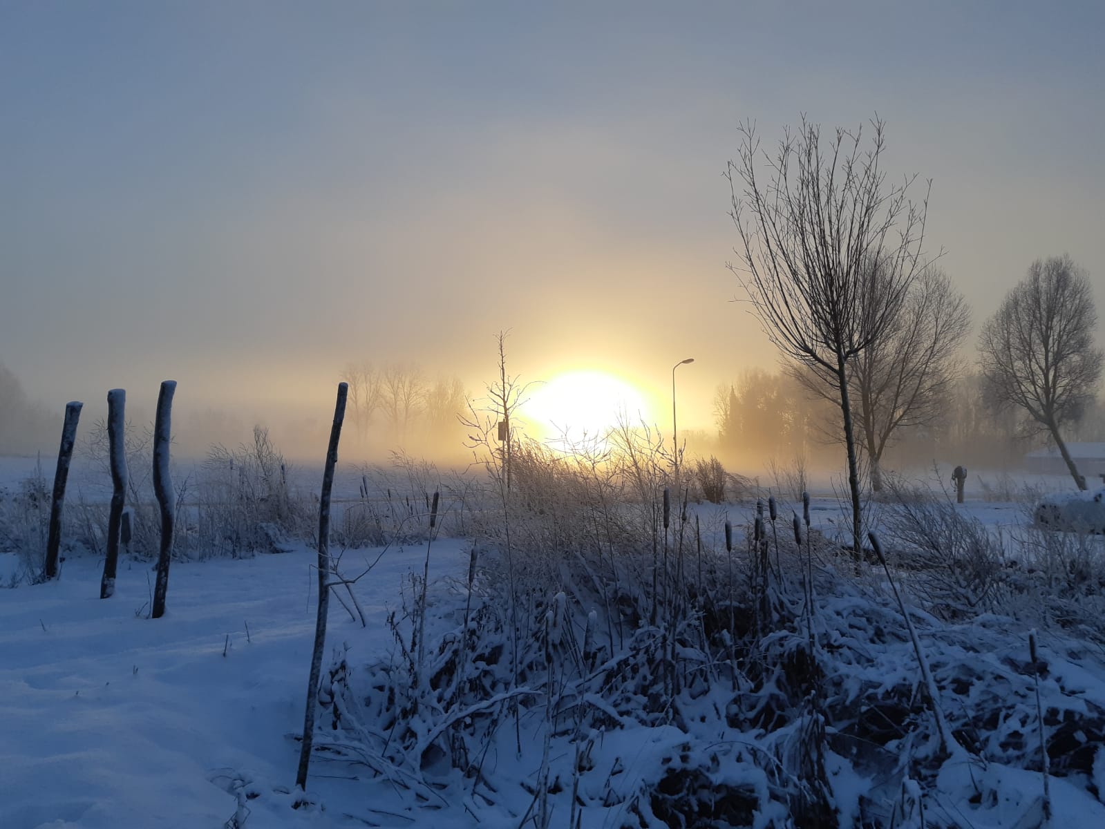Winter Land in Zicht winter Vathorst