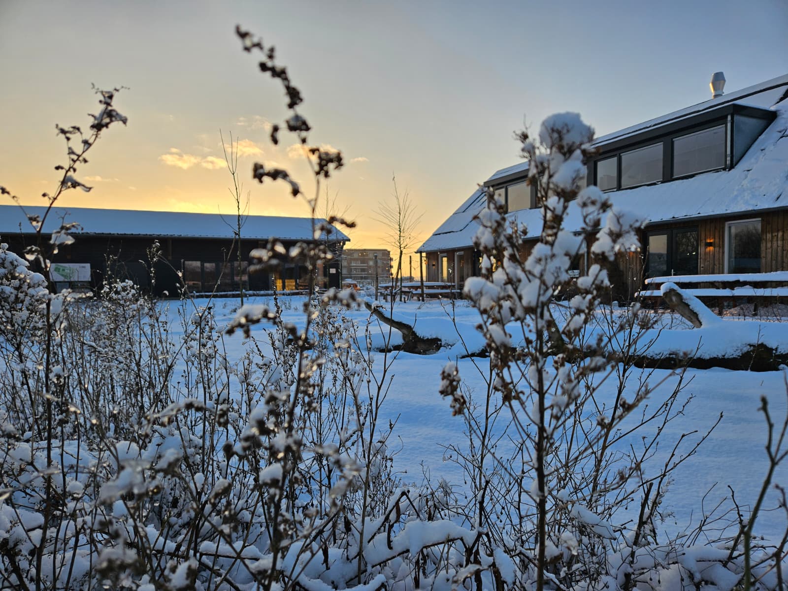theehuis land in zicht Winter Vathorst