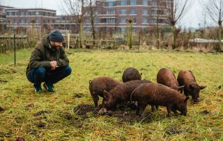 Yuri Cohen in ontmoeting met de nieuwe werkers, oerwroeters, op de Tuinderij van land in Zicht in Amersfoort. Foto's door Aylin van den Houten.