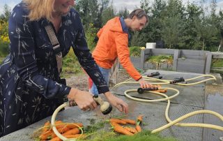 oogst biologische groenten en verse kruiden lokaal en duurzaam geteeld gezond en puur eten, direct van het land elke week verrassende seizoensoogst Amersfoort Vathorst