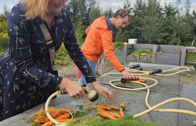 oogst biologische groenten en verse kruiden lokaal en duurzaam geteeld gezond en puur eten, direct van het land elke week verrassende seizoensoogst Amersfoort Vathorst