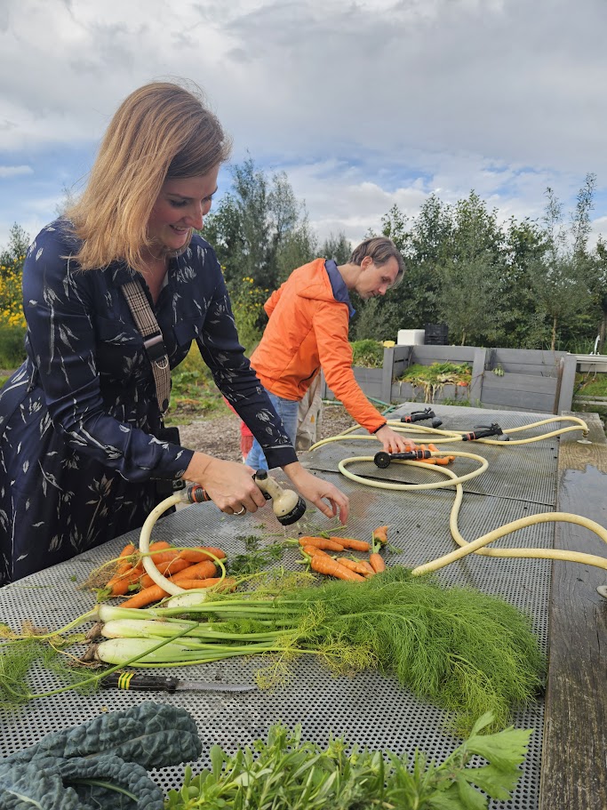 oogst biologische groenten en verse kruiden lokaal en duurzaam geteeld gezond en puur eten, direct van het land elke week verrassende seizoensoogst Amersfoort Vathorst