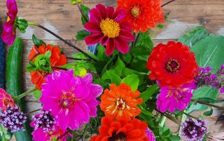Zomerstrippenkaart Tuinderij Land in Zicht in Amersfoort Vathorst, oogst in de zomer met ons mee