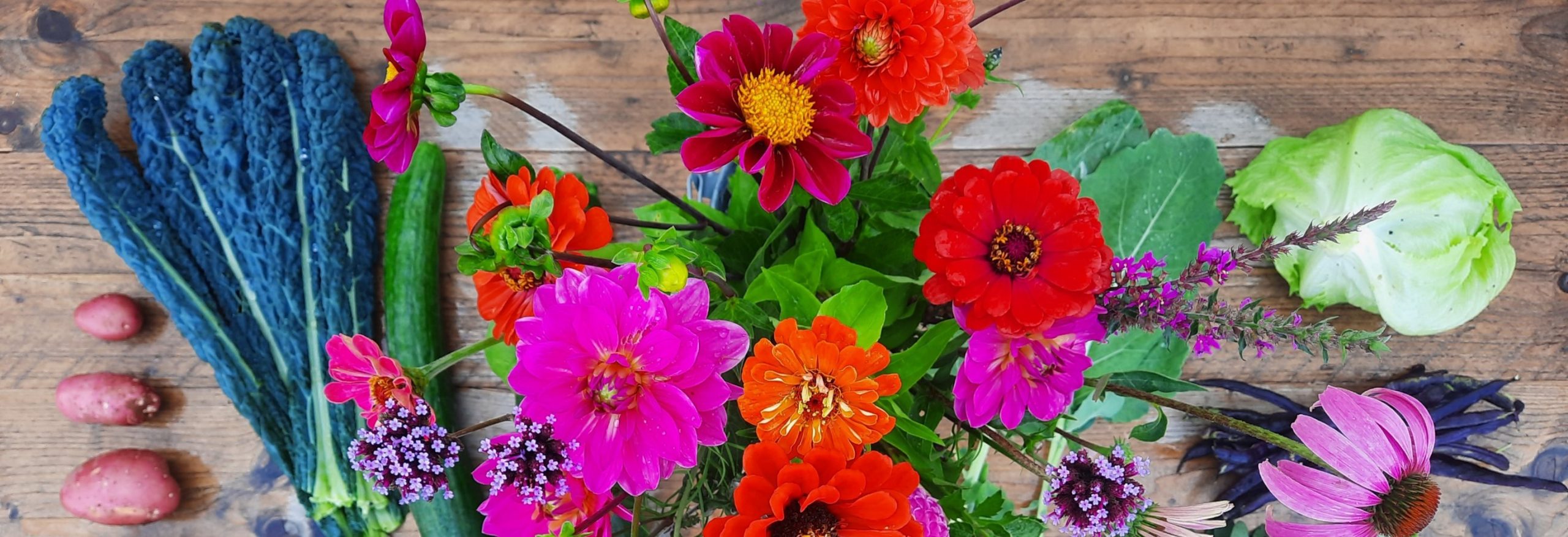 Zomerstrippenkaart Tuinderij Land in Zicht in Amersfoort Vathorst, oogst in de zomer met ons mee