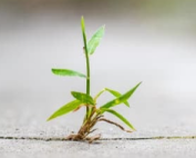 Een doorbraak betekent dat er werkelijk iets verandert. Deze sessie is bedoeld voor mensen die werken aan een mooiere wereld, en merken dat echte verandering, in henzelf, hun organisatie of hun omgeving soms lastiger is dan gedacht.