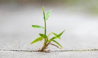 Een doorbraak betekent dat er werkelijk iets verandert. Deze sessie is bedoeld voor mensen die werken aan een mooiere wereld, en merken dat echte verandering, in henzelf, hun organisatie of hun omgeving soms lastiger is dan gedacht.