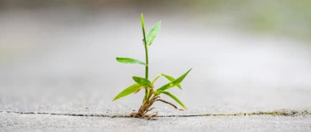 Een doorbraak betekent dat er werkelijk iets verandert. Deze sessie is bedoeld voor mensen die werken aan een mooiere wereld, en merken dat echte verandering, in henzelf, hun organisatie of hun omgeving soms lastiger is dan gedacht.