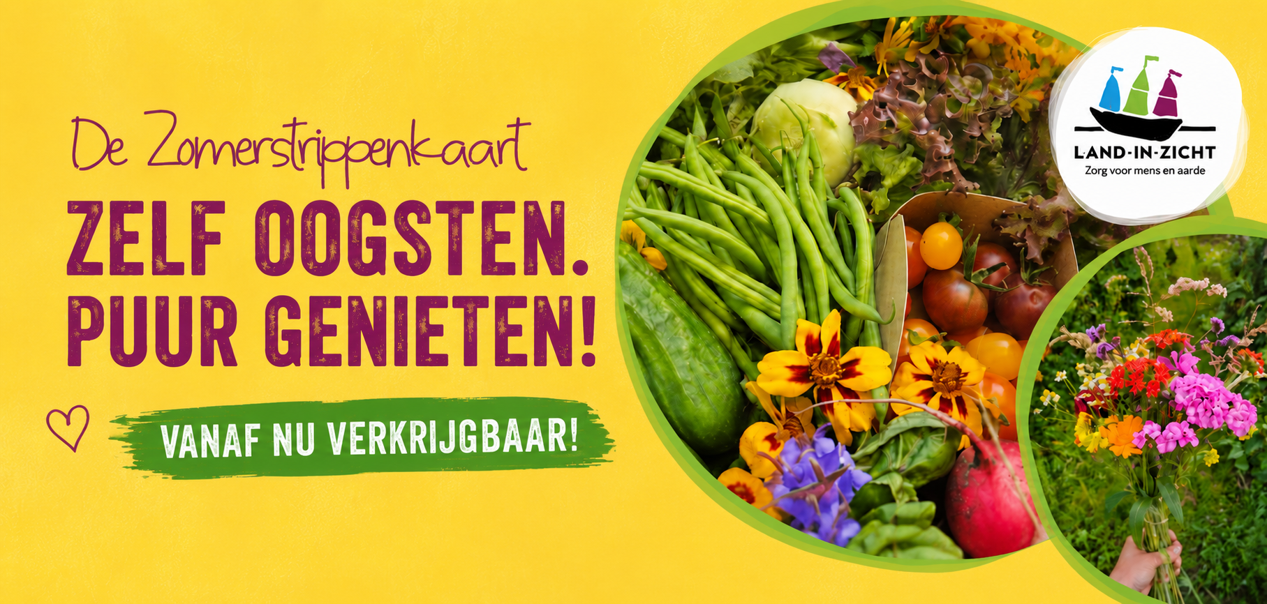 In de zomer groenten oogsten in Amersfoort? Met de zomerstrippenkaart mag je komen oogsten & plukken in de zomerperiode van 30 juni t/m 26 september 2026. Je kiest zelf welke weken je komt oogsten, dit hoeft niet aansluitend te zijn.