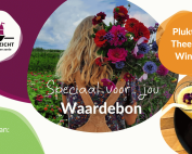 Op zoek naar een origineel cadeau in Vathorst? Geef een groene ervaring met de waardebon van Land in Zicht: theehuis, bloemen en rust in de natuur.