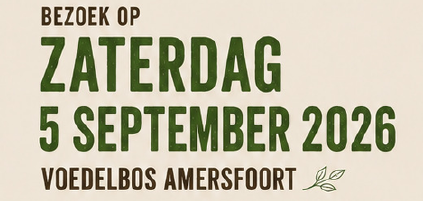 De landelijke Open Voedselbossendag wordt dit jaar officieel geopend bij Voedselbos Amersfoort op zaterdag 5 september. Wandel mee met een rondleiding door het 6.000 m² grote voedselbos en woon een lezing bij van Simon Verboom, een van de auteurs van De Voedselbos Keuken.